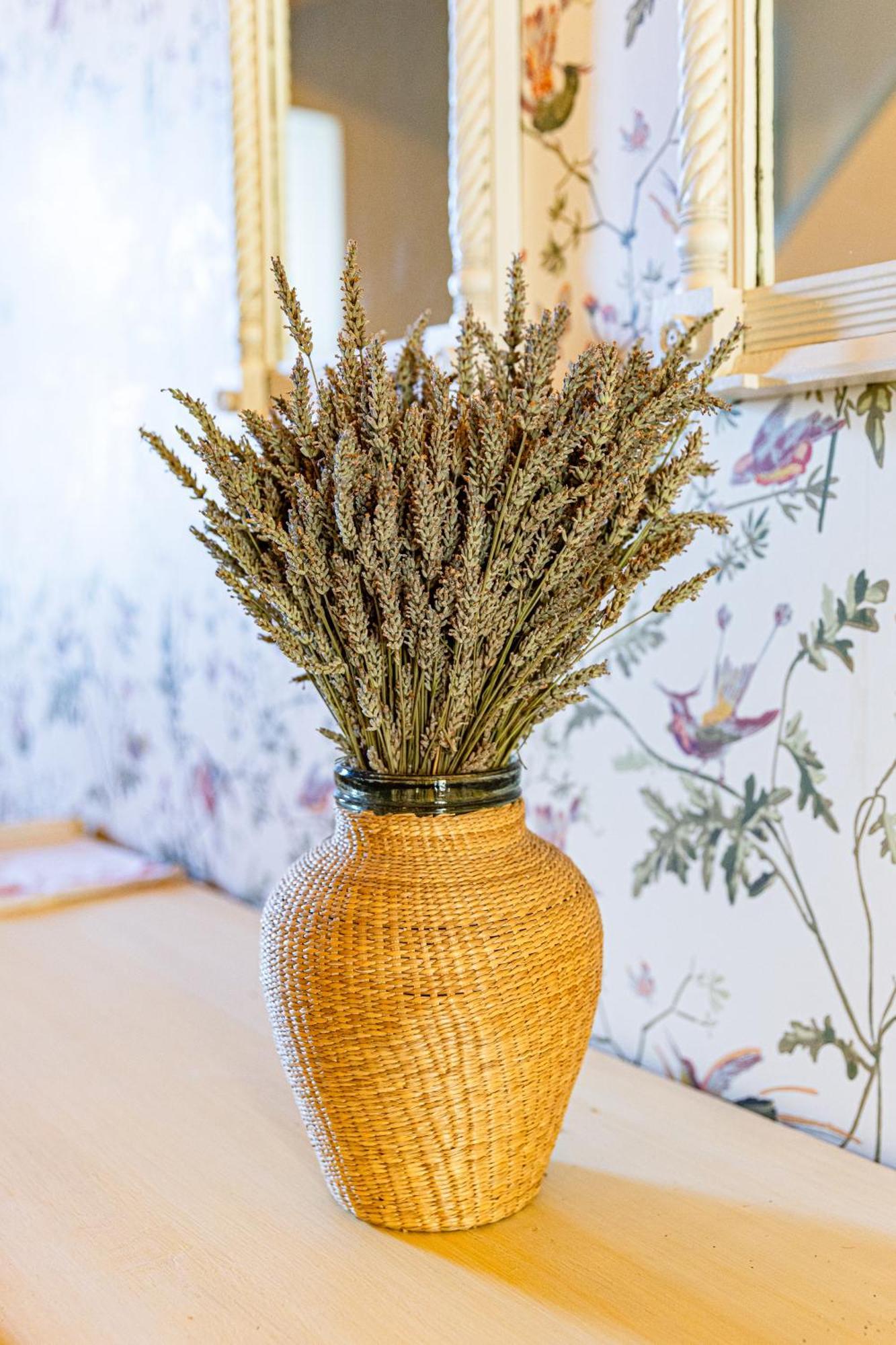 Maison Bournissac Noves Екстер'єр фото